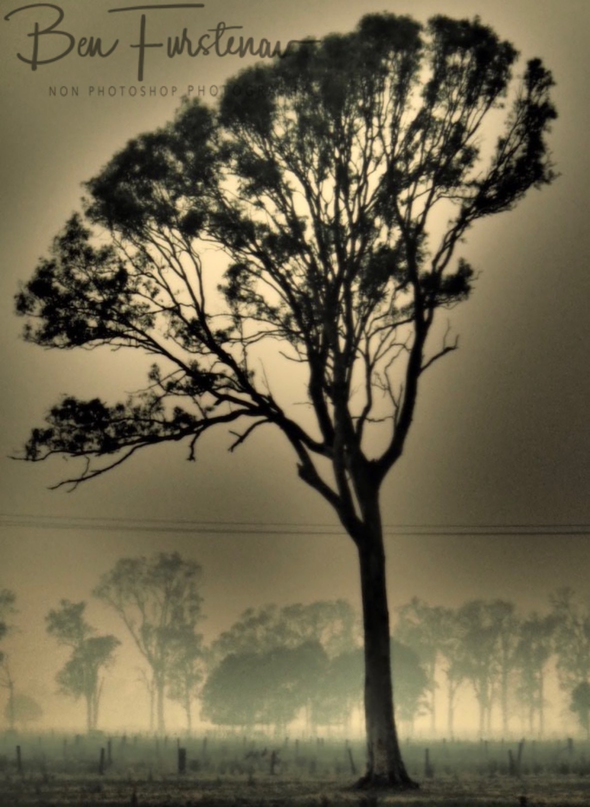 Up in smoke @ Ulmarra, Northern New South Wales, Australia