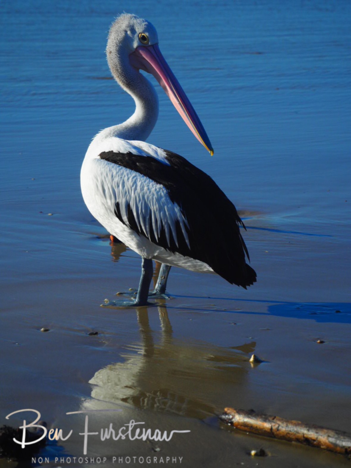 Reflections added @ Woody Head, Northern New South Wales, Australia