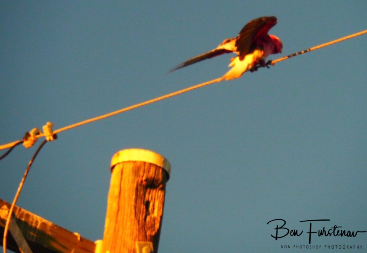 Redemption @ Evans Head, Northern New South Wales, Australia