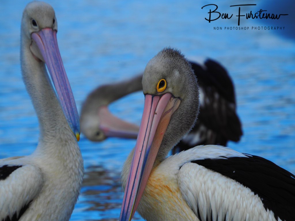 Iluka, Northern New South Wales, Australia 