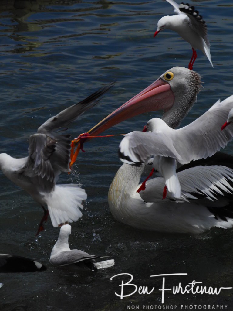 Iluka, Northern New South Wales, Australia 