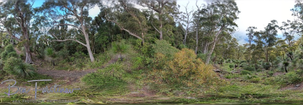 Border Ranges National Park, Northern New South Wales, Australia
