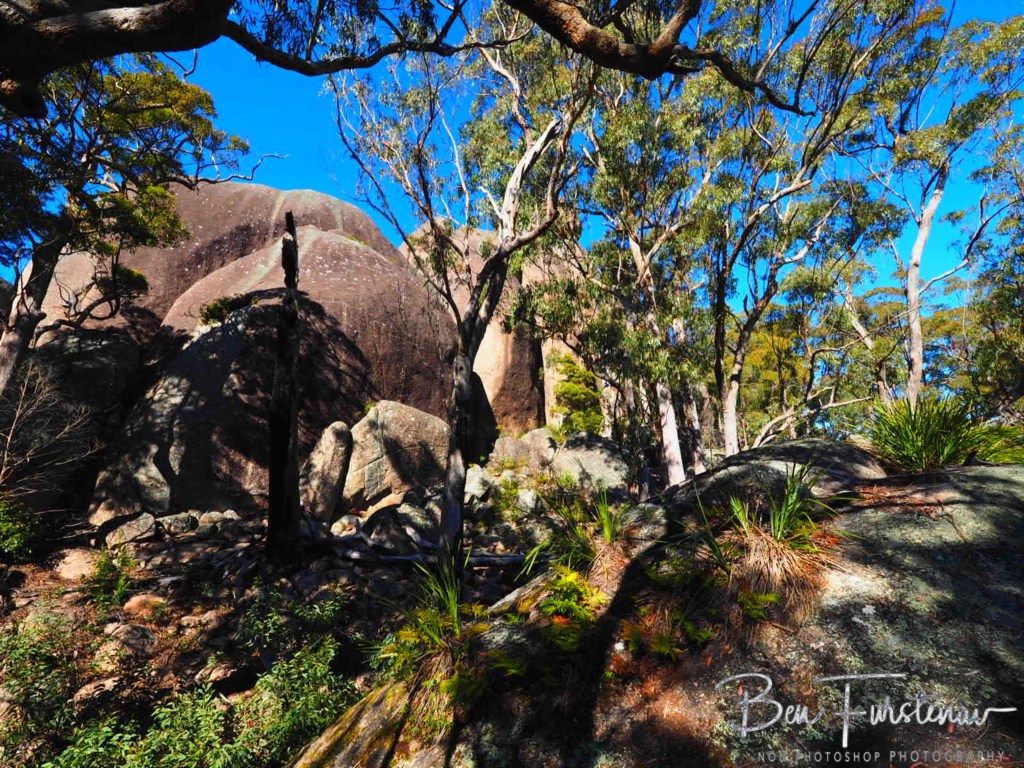 Basket Swamp National Park, Tenterfield, Northern New South Wales, Australia