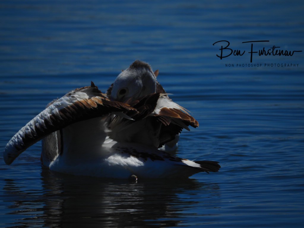 Iluka, Northern New South Wales, Australia