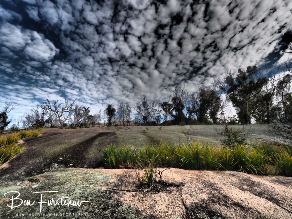 Bald Rock National Park, Tenterfield, Northern New South Wales, Australia