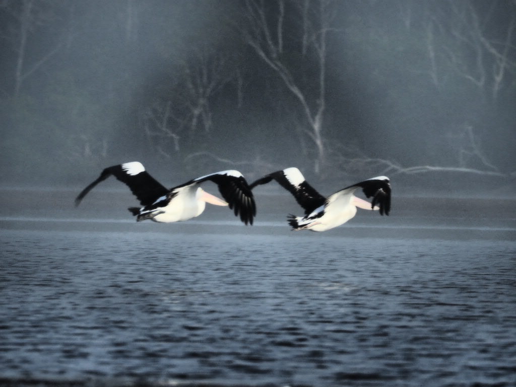 Golden Beach, Caloundra, Sunshine Coast, Queensland, Australia