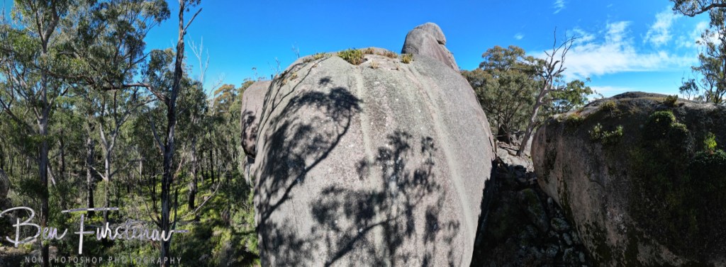 Basket Swamp National Park, Tenterfield, Northern New South Wales, Australia
