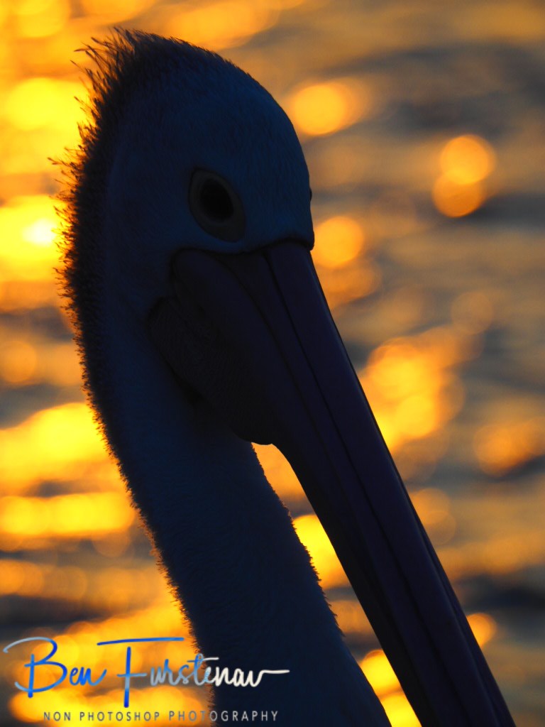 Iluka, Northern New South Wales, Australia