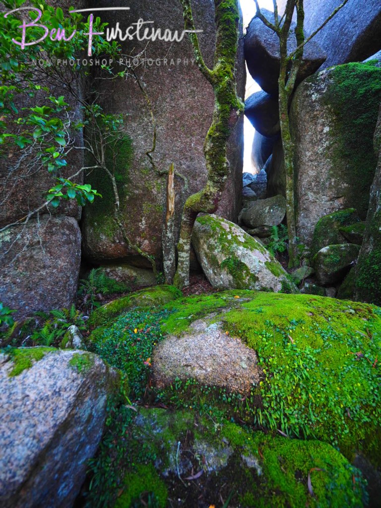 Basket Swamp National Park, Tenterfield, Northern New South Wales, Australia