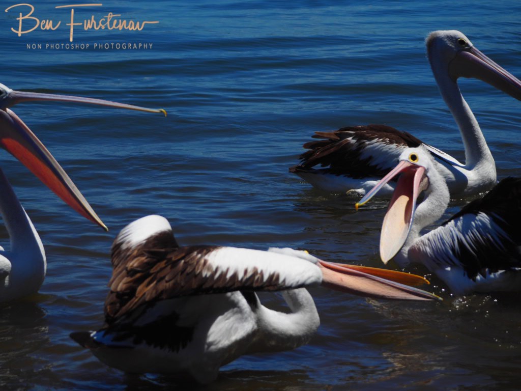 Iluka, Northern New South Wales, Australia