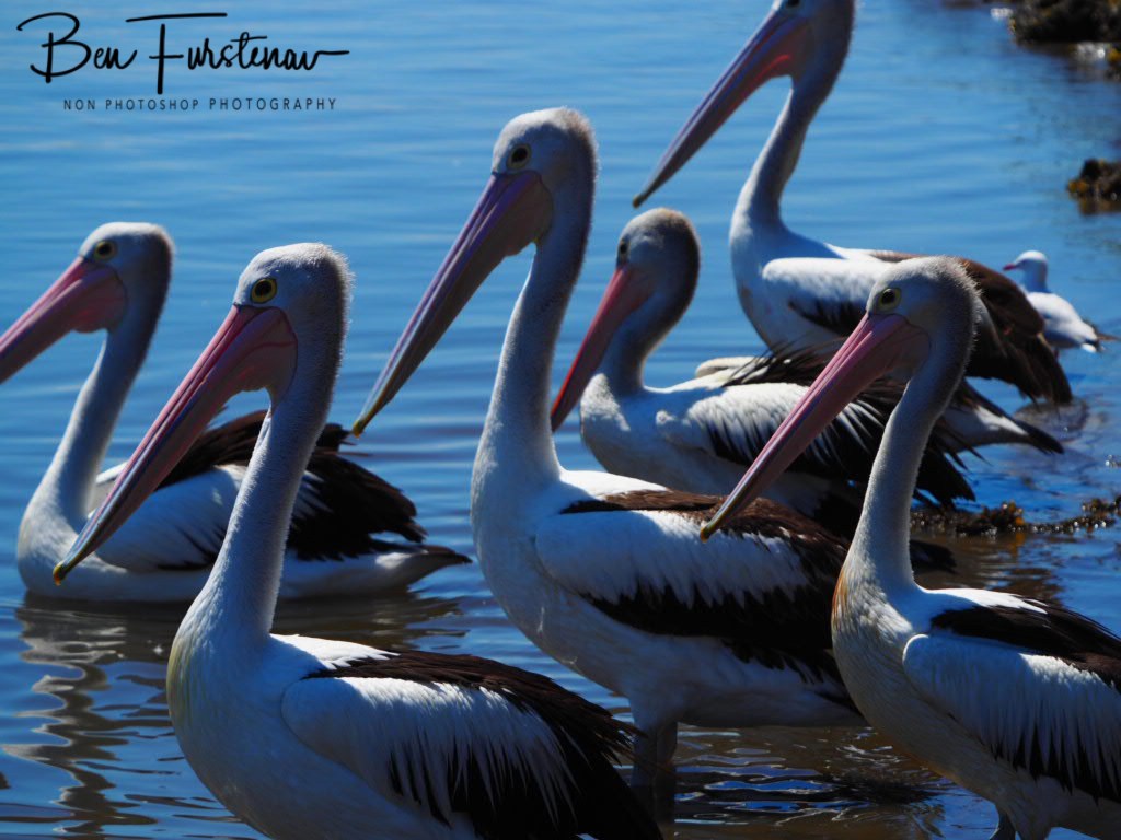 Iluka, Northern New South Wales, Australia