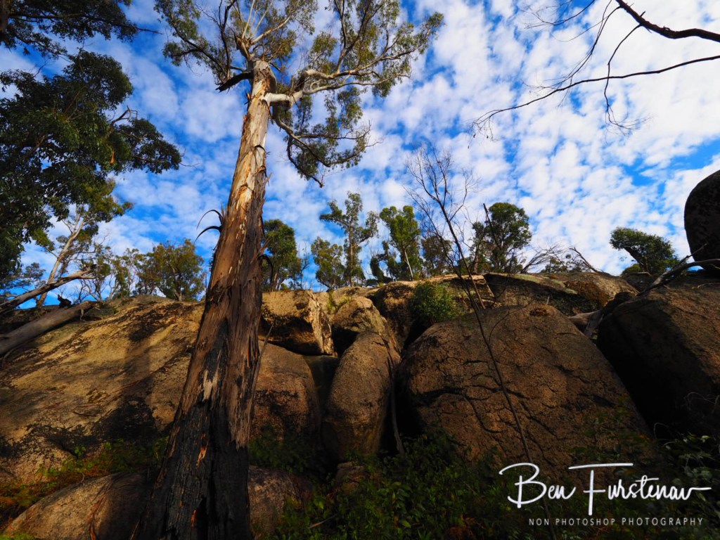 Bald Rock National Park, Tenterfield, Northern New South Wales, Australia