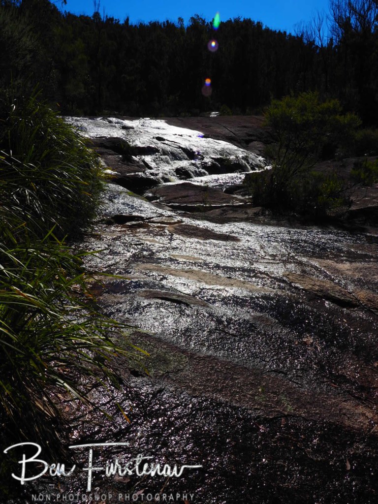 Basket Swamp National Park, Tenterfield, Northern New South Wales, Australia