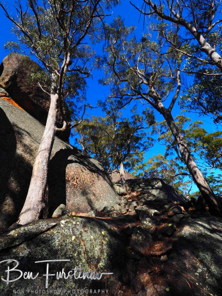 Basket Swamp National Park, Tenterfield, Northern New South Wales, Australia