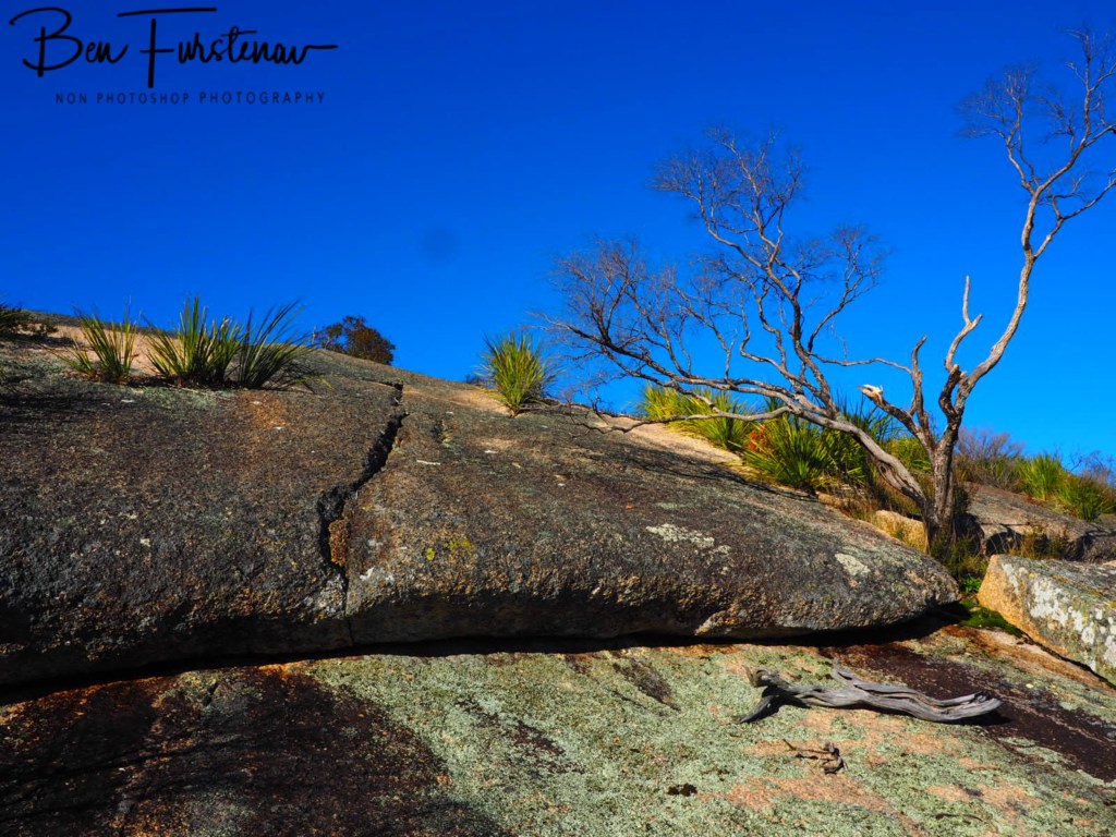 Bald Rock National Park, Tenterfield, Northern New South Wales, Australia