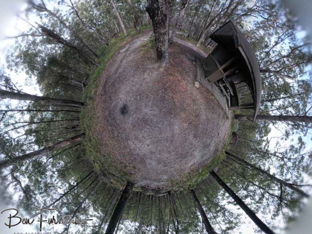 Basket Swamp National Park, Tenterfield, Northern New South Wales, Australia