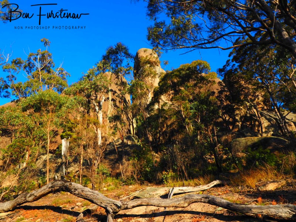 Basket Swamp National Park, Tenterfield, Northern New South Wales, Australia