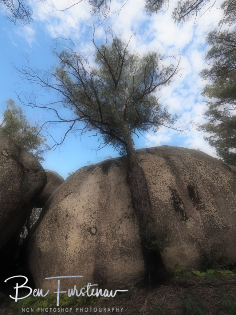 Bald Rock National Park, Tenterfield, Northern New South Wales, Australia