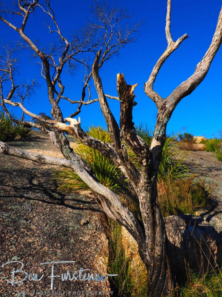 Bald Rock National Park, Tenterfield, Northern New South Wales, Australia