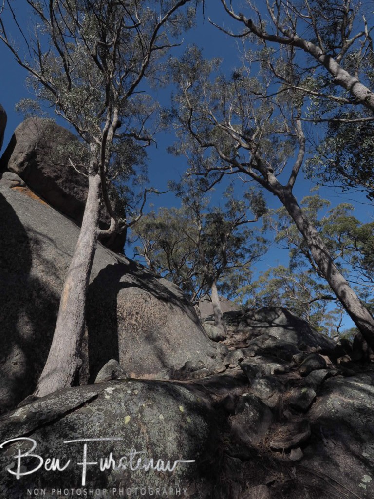 Basket Swamp National Park, Tenterfield, Northern New South Wales, Australia