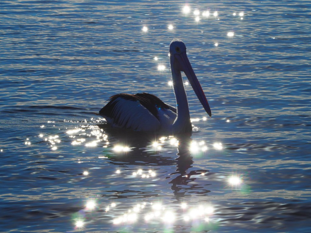 Evans Head, Northern New South Wales, Australia