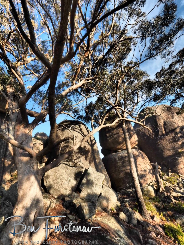 Basket Swamp National Park, Tenterfield, Northern New South Wales, Australia