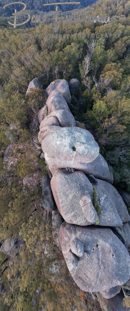 Basket Swamp National Park, Tenterfield, Northern New South Wales, Australia