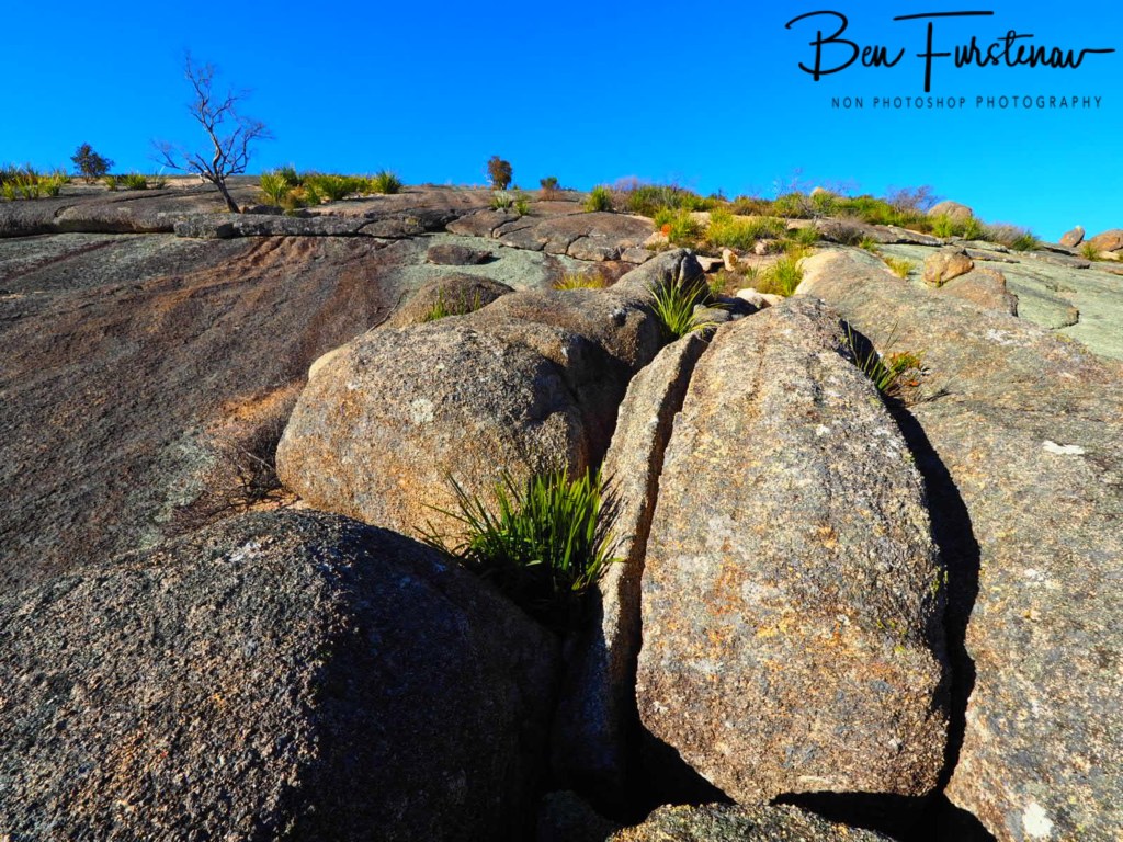 Bald Rock National Park, Tenterfield, Northern New South Wales, Australia