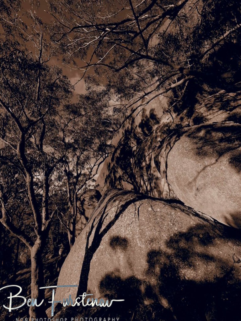 Basket Swamp National Park, Tenterfield, Northern New South Wales, Australia