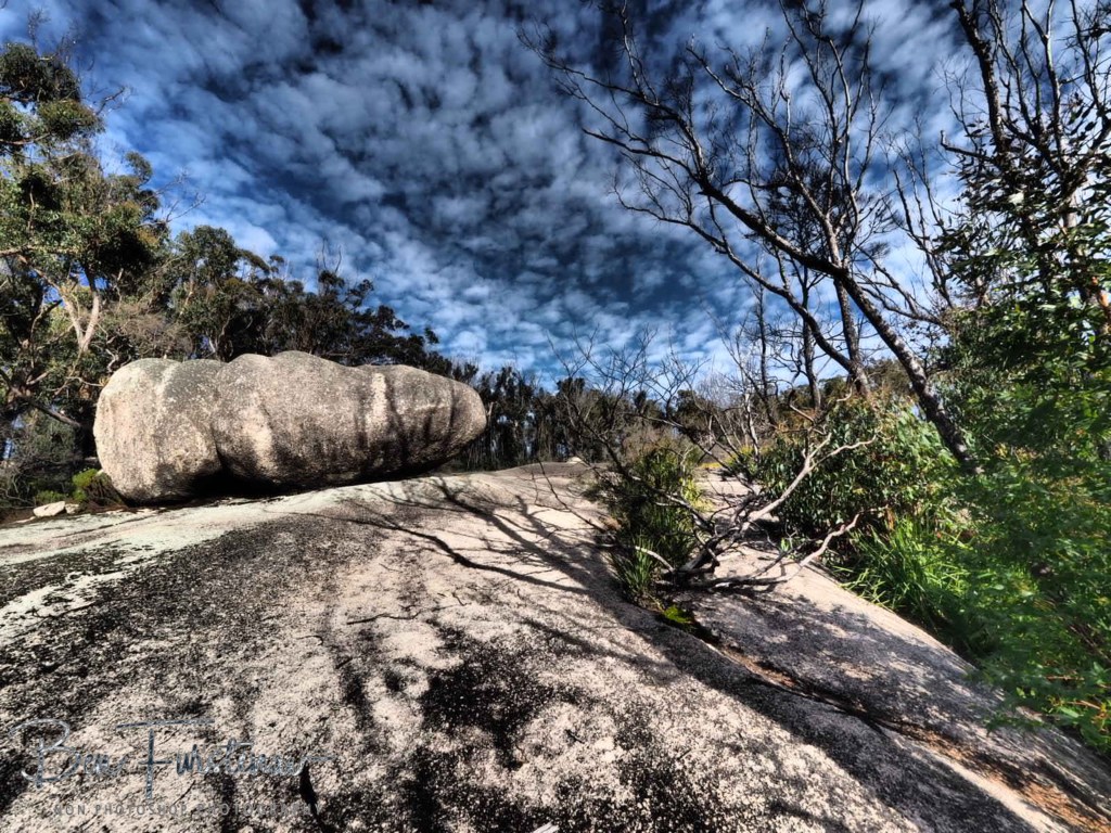 Bald Rock National Park, Tenterfield, Northern New South Wales, Australia