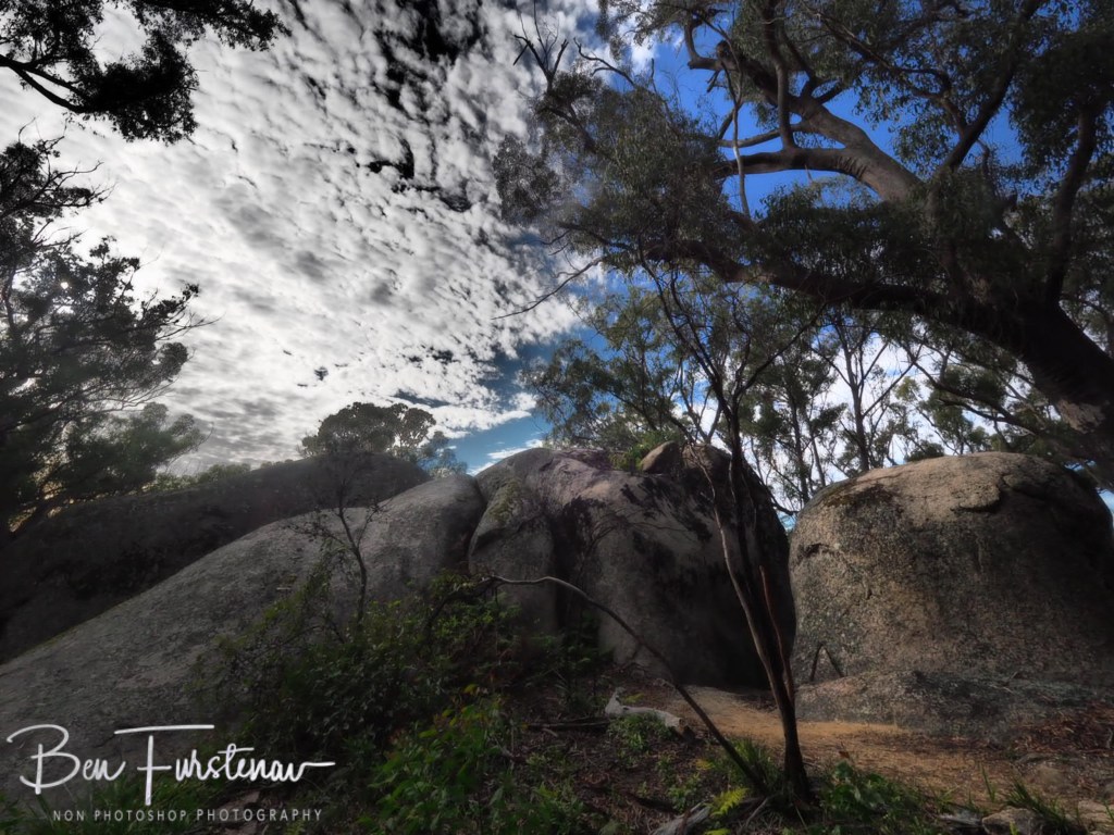 Bald Rock National Park, Tenterfield, Northern New South Wales, Australia