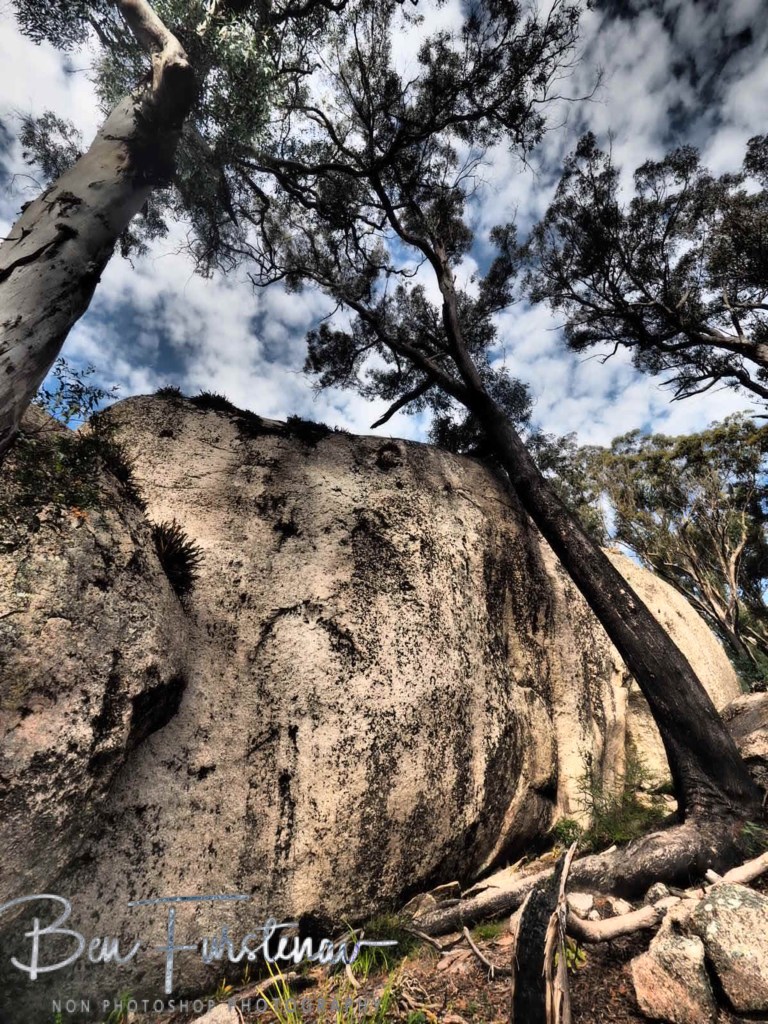 Bald Rock National Park, Tenterfield, Northern New South Wales, Australia