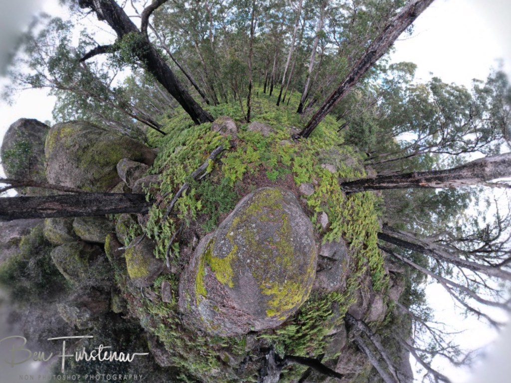 Basket Swamp National Park, Tenterfield, Northern New South Wales, Australia