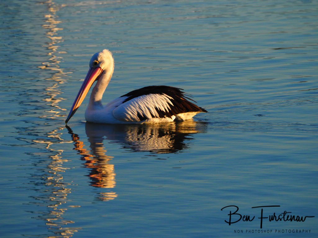 Golden Beach, Caloundra, Sunshine Coast, Queensland, Australia