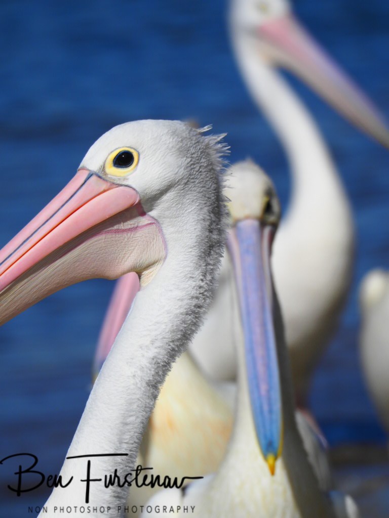 Iluka, Northern New South Wales, Australia