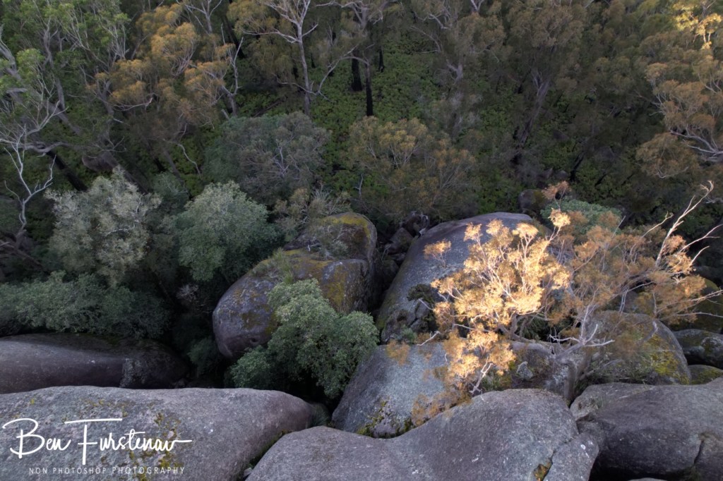 Basket Swamp National Park, Tenterfield, Northern New South Wales, Australia