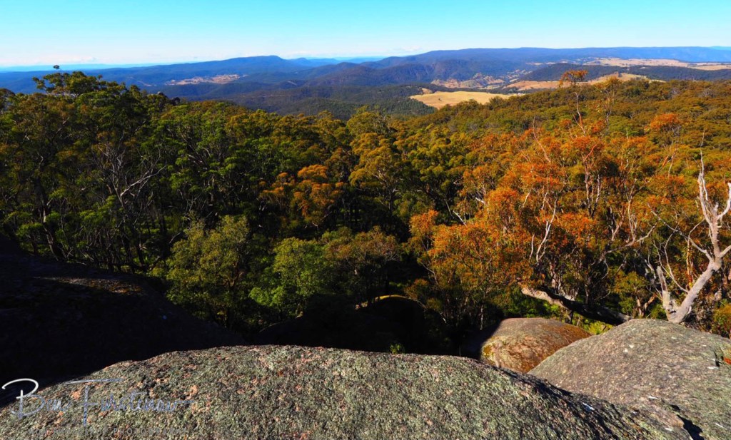 Basket Swamp National Park, Tenterfield, Northern New South Wales, Australia