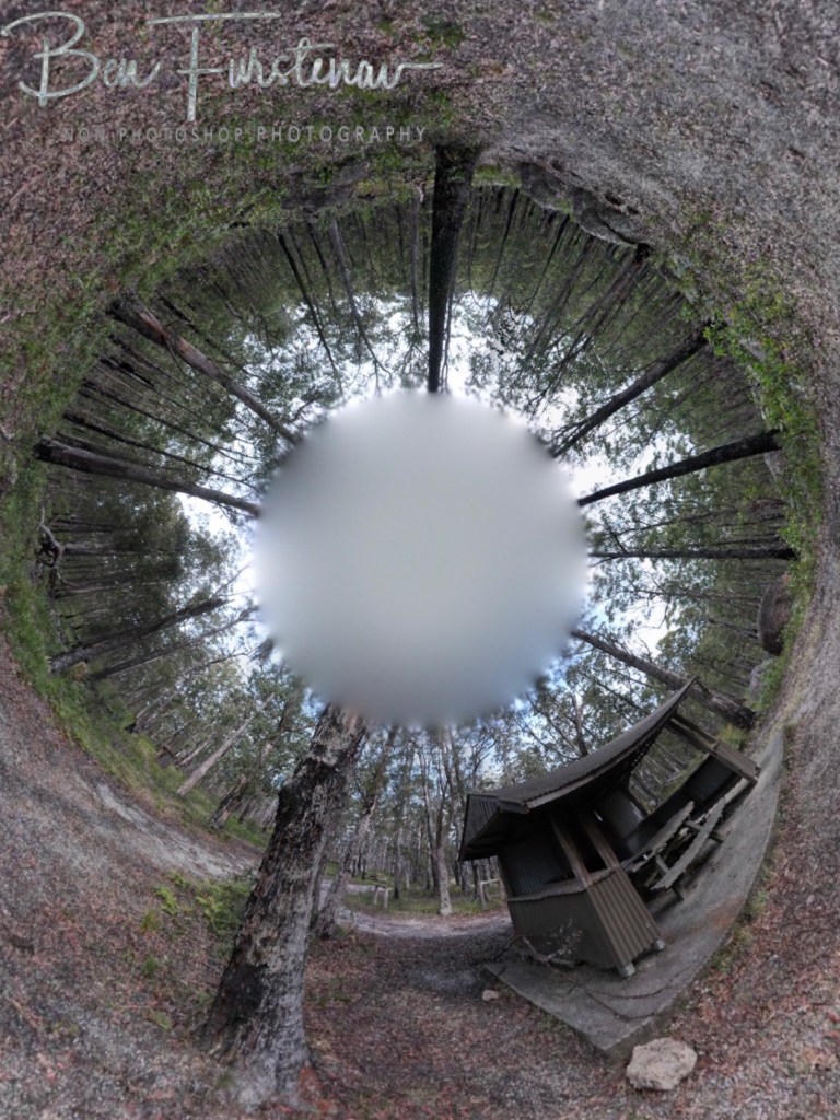 Basket Swamp National Park, Tenterfield, Northern New South Wales, Australia