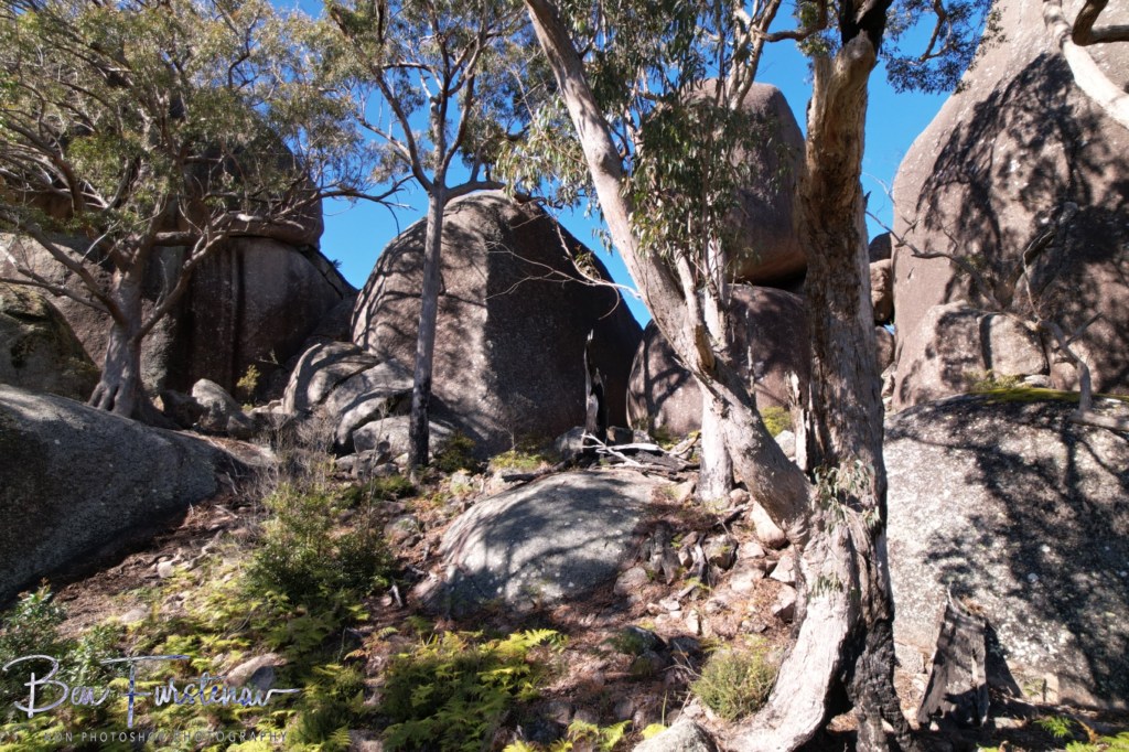 Basket Swamp National Park, Tenterfield, Northern New South Wales, Australia