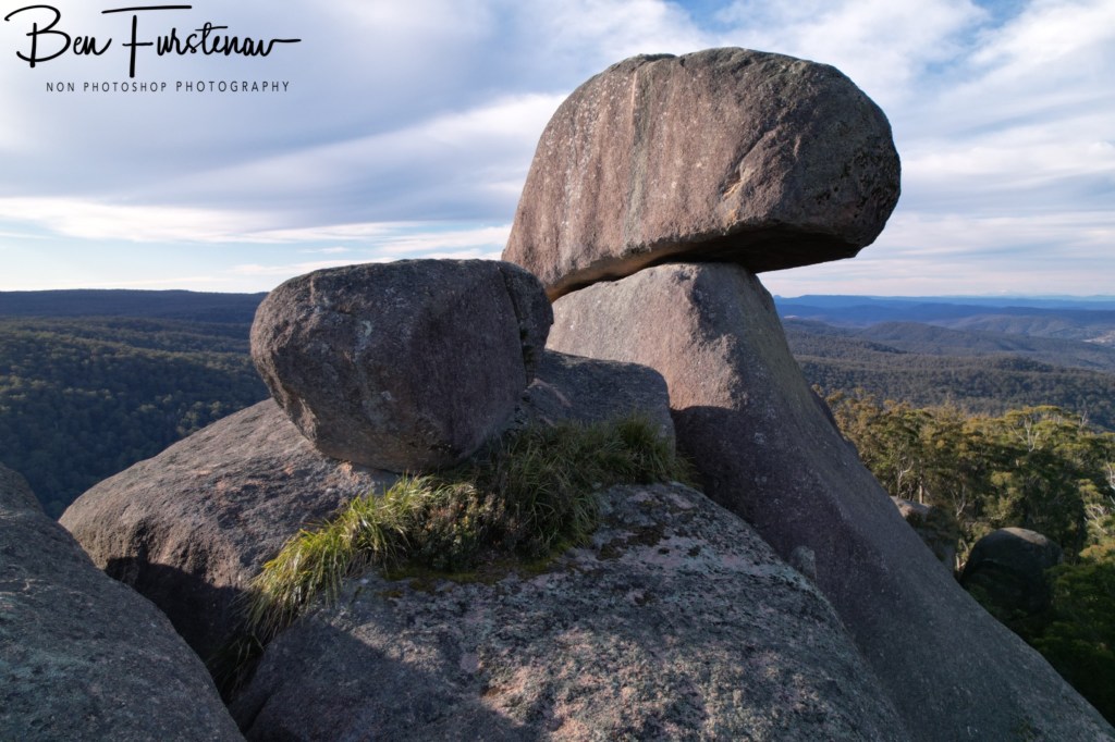 Basket Swamp National Park, Tenterfield, Northern New South Wales, Australia