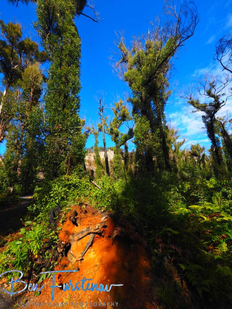 Bald Rock National Park, Tenterfield, Northern New South Wales, Australia