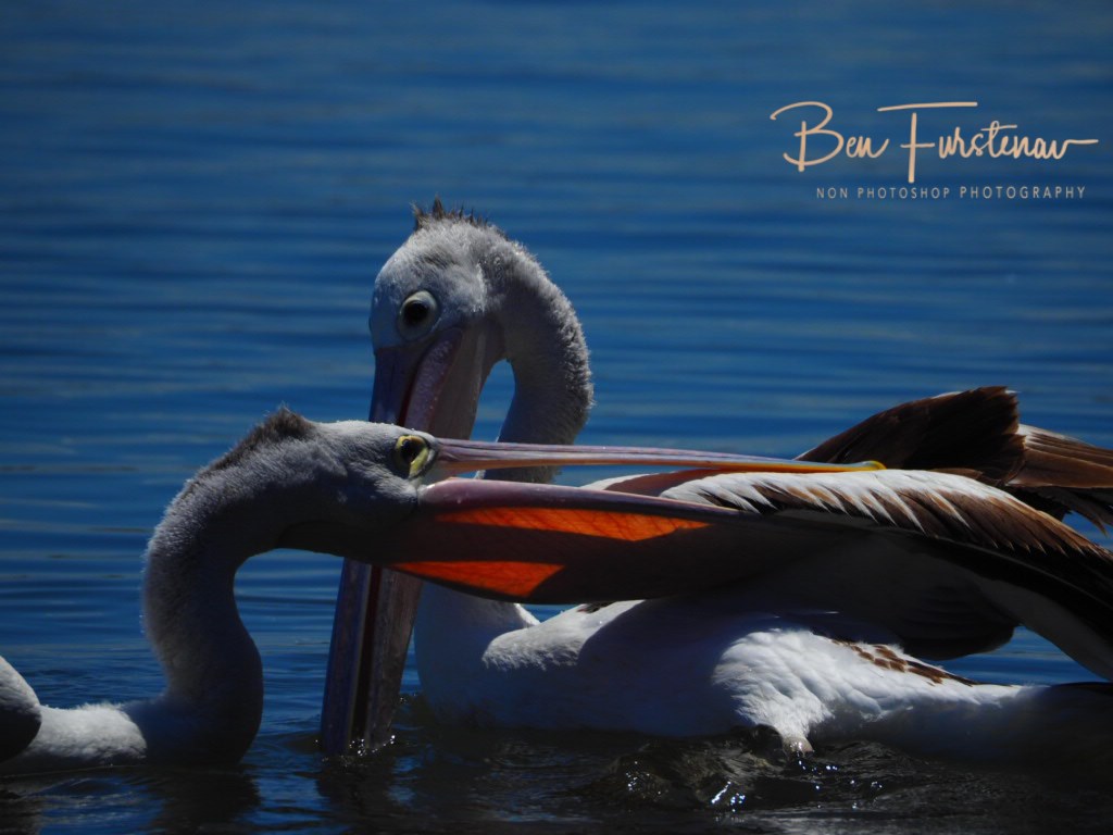 Iluka, Northern New South Wales, Australia