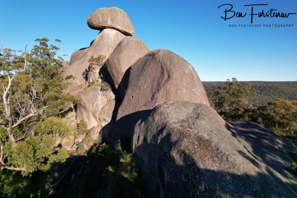 Basket Swamp National Park, Tenterfield, Northern New South Wales, Australia