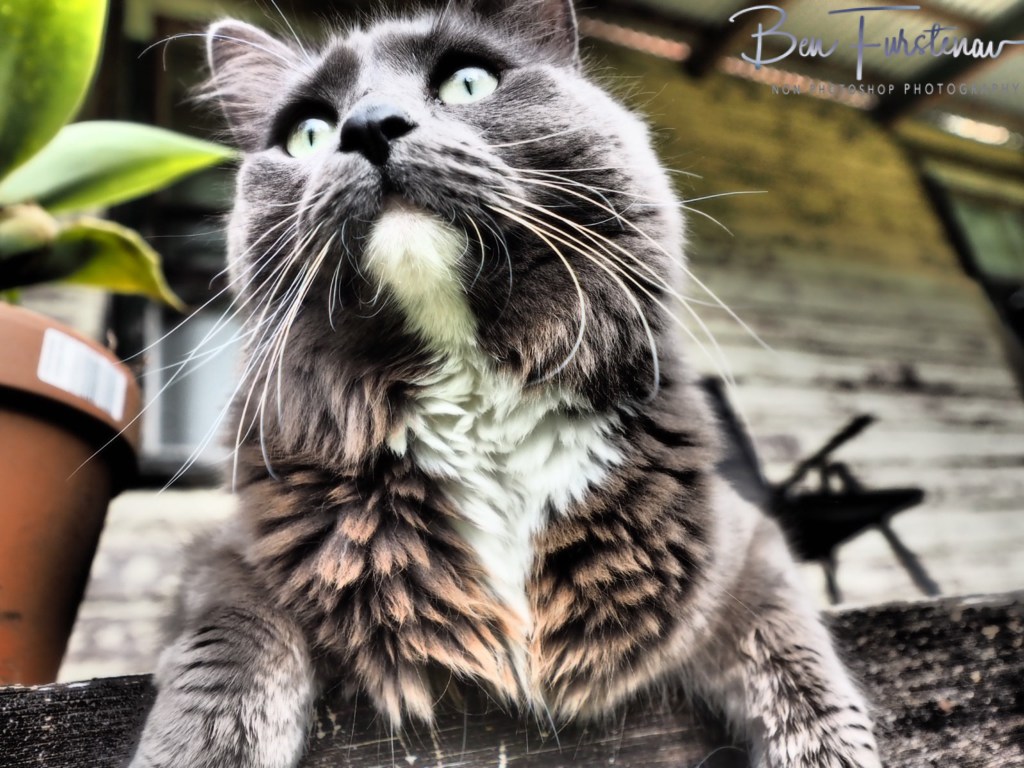 Valla, Northern New South Wales, Australia