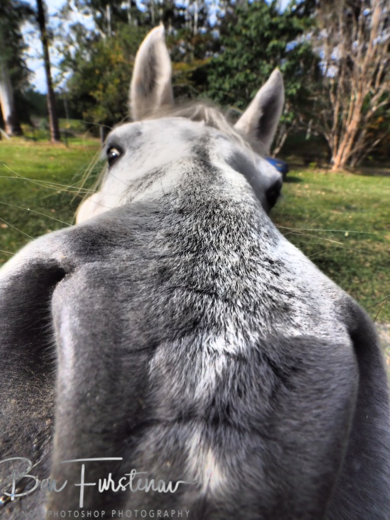 Valla, Northern New South Wales, Australia