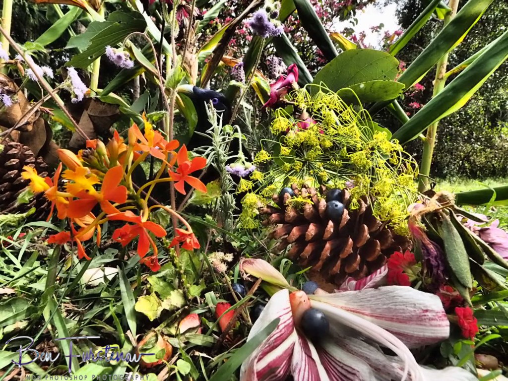 Valla, Northern New South Wales, Australia