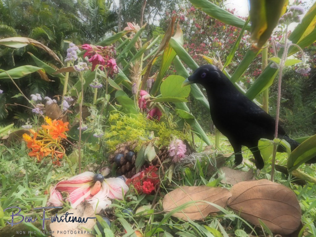 Valla, Northern New South Wales, Australia