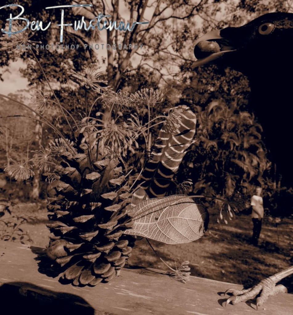 Valla, Northern New South Wales, Australia