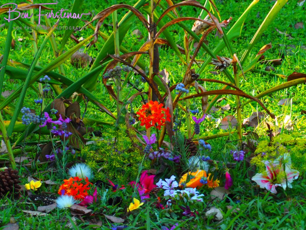 Valla, Northern New South Wales, Australia