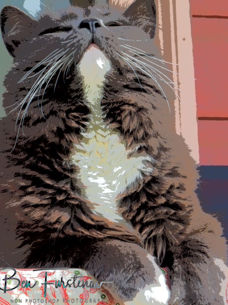 Valla, Northern New South Wales, Australia